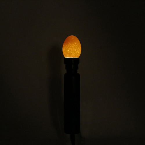 1pc Portátil Negro Luz Fresca Led Candling Lámpara Incubador