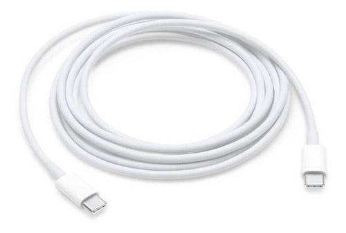 Cable Cargador Macbook Pro iPad Pro 11 Tipo C A C Apple 2m