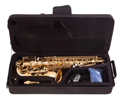 Kit Saxofón Alto Laton Lacado Brillante Instrumento Aire