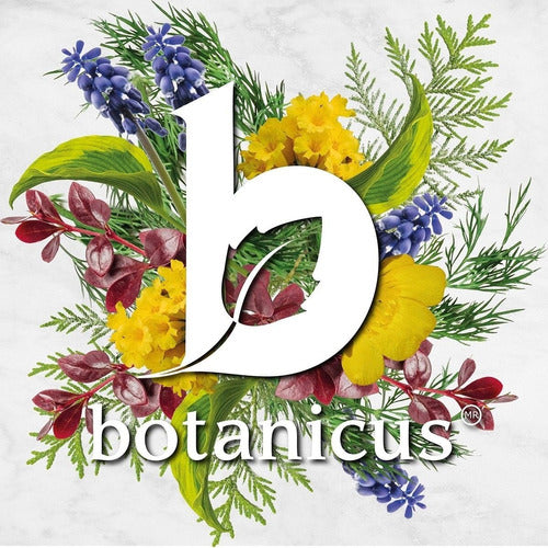 Kit Look Natural Pestañas Y Cejas Botanicus
