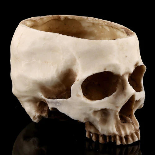 Moderno Cráneo De Resina Cabeza Moldeada Decoración Maceta