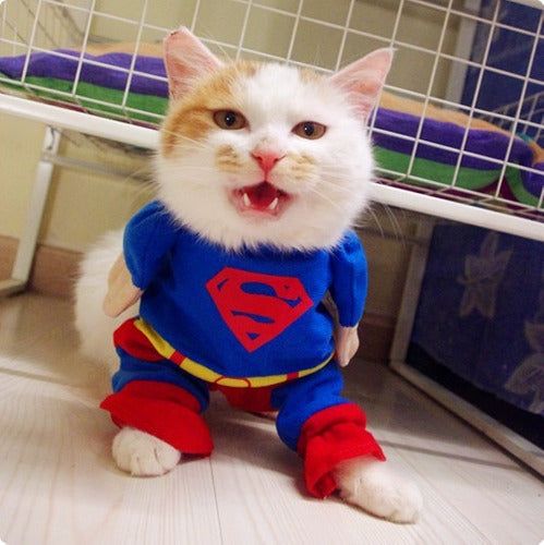 Disfraz Superman Para Perro Chihuahua