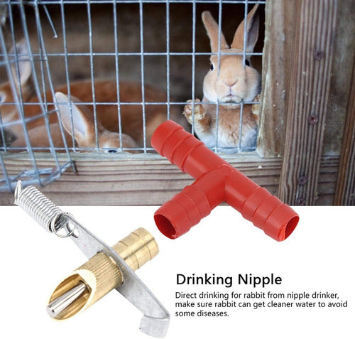 20pcs Bebedero Automático Para Criar Conejos
