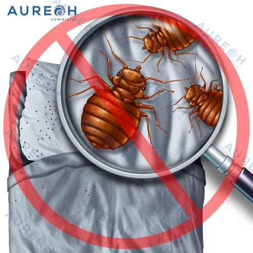 Mata Insectos Cucarachas Chinches Y Más Biothrine Flow 100ml