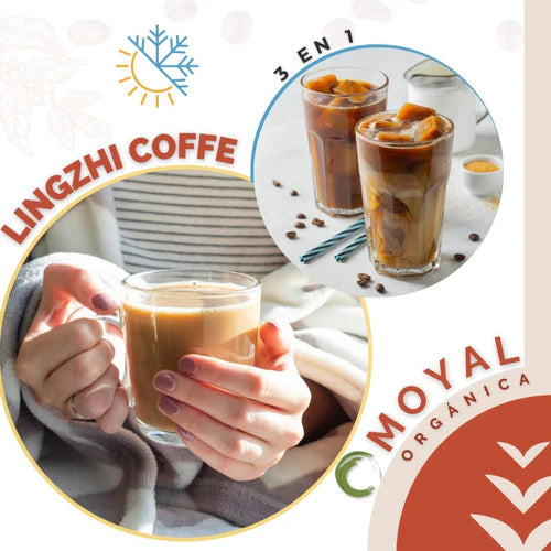 Lingzhi Coffee Dxn 3 En 1 (20 Sobres) Ganoderma/envio Gratis