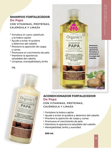 Shampoo Fortalecedor De Papa Con Vitaminas 1lt. Florigan