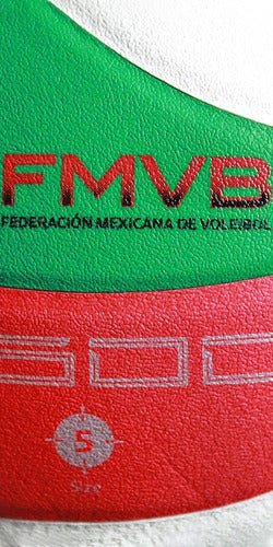 Balón Molten Voleibol V5m4500 Piel Sintética #5 Tricolor