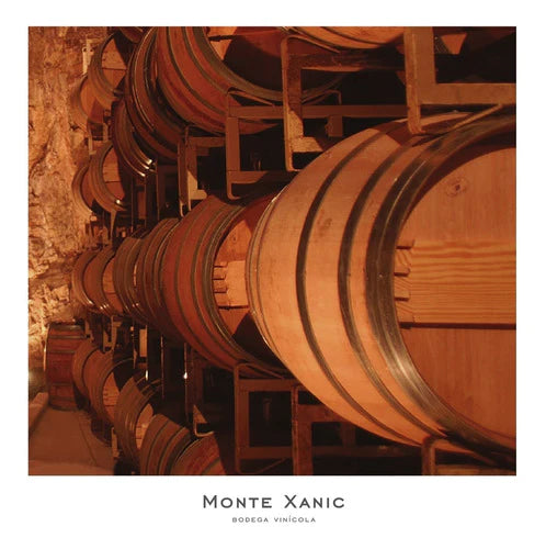 Monte Xanic Merlot, Vino Tinto, 750 Ml