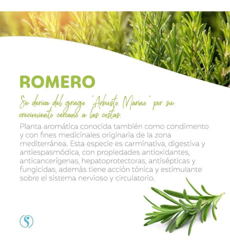 Aceite Esencial De Romero, Favorece La Concentración S505