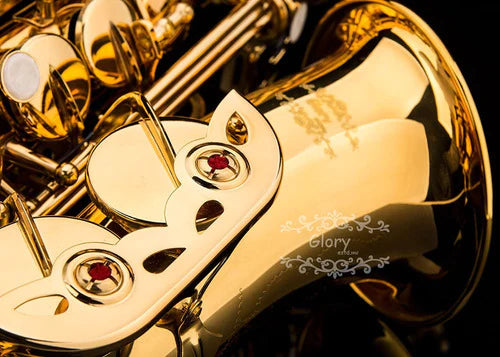 Kit Saxofón Alto Laton Lacado Brillante Instrumento Aire