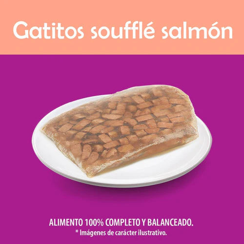 Whiskas, Alimento Gatitos Soufflé Salmon, 24ud 85g C/u