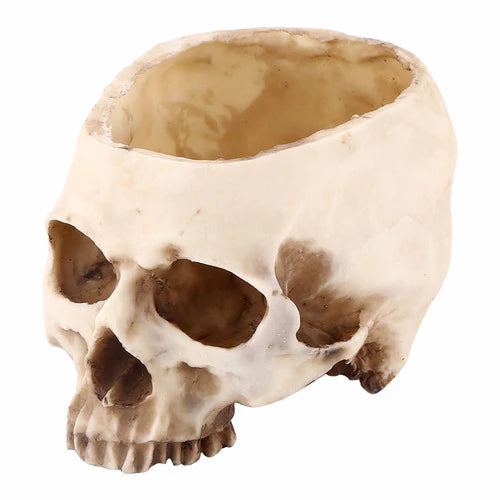 Moderno Cráneo De Resina Cabeza Moldeada Decoración Maceta