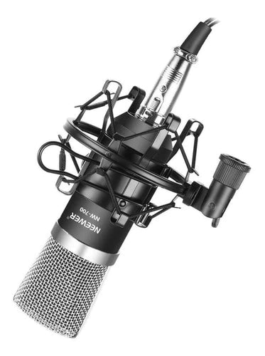 Micrófono Neewer Nw-700 Condensador Cardioide Negro/plateado