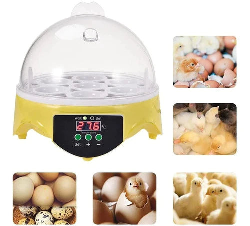 Incubadora De Huevos Con Control De Temperatura De Mini Incu
