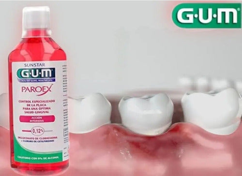 Paroex Colutorio Gum Accion Intensiva 500ml Placa Y Cirugía