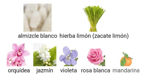 Bahrain Pearl Alrehab Attar Lujo20ml Floral Citrico Almizcle