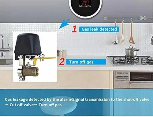 Sensor De Gas Natural Wifi Inteligente Pantalla Lcd