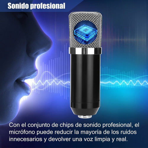 Kit De Micrófono Profesional Bm 700 Condensador Cardioide Ne