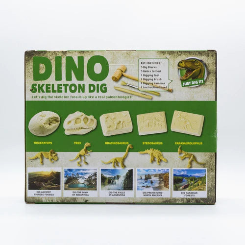 Kit Excavación 5 En 1 Dinosaurios Fósiles Arqueología