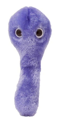 Peluche Clostridioides Difficile Giant Microbes