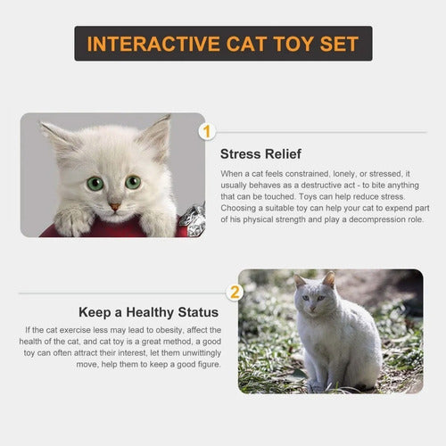 Juguetes Interactivos Para Gatos 20 Juguetes Para Gatitos