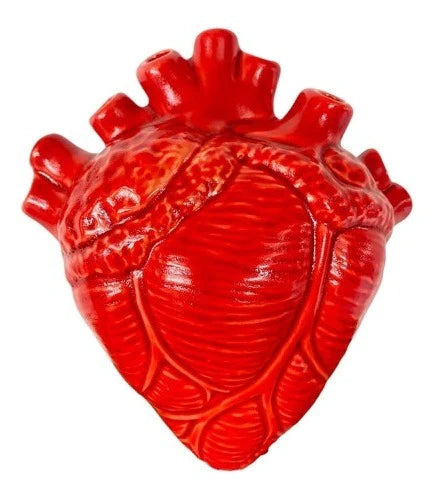 Florero Para Pared Corazón Anatómico Cerámica Esmaltada Rojo