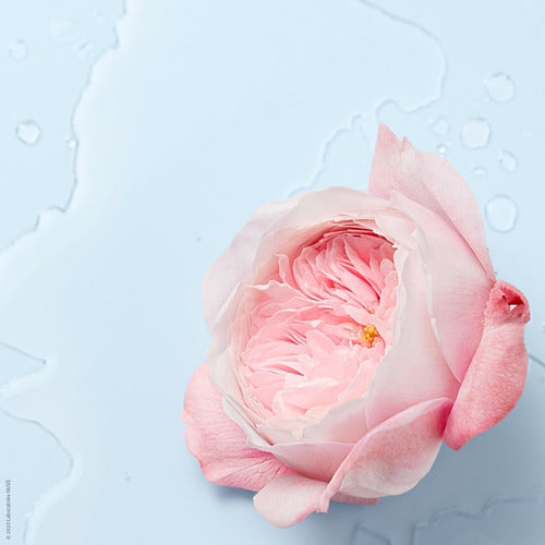 Nuxe - Very Rose - Agua Desmaquillante Micelar