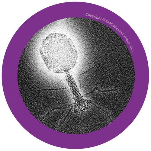 Peluche Bacteriófago T4 Giant Microbes