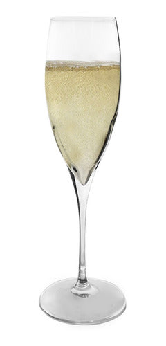 Set 6 Copas Champagne Cristal Premium Bormioli Italia 250ml