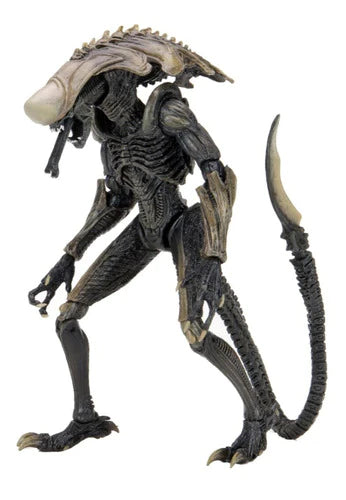 Figura Neca Alien Vs Predator Chrysalis Alien