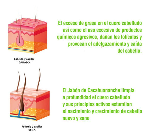 Cacahuananche Jabon 3 Piezas De 100 Grs C/u Envío Gratis